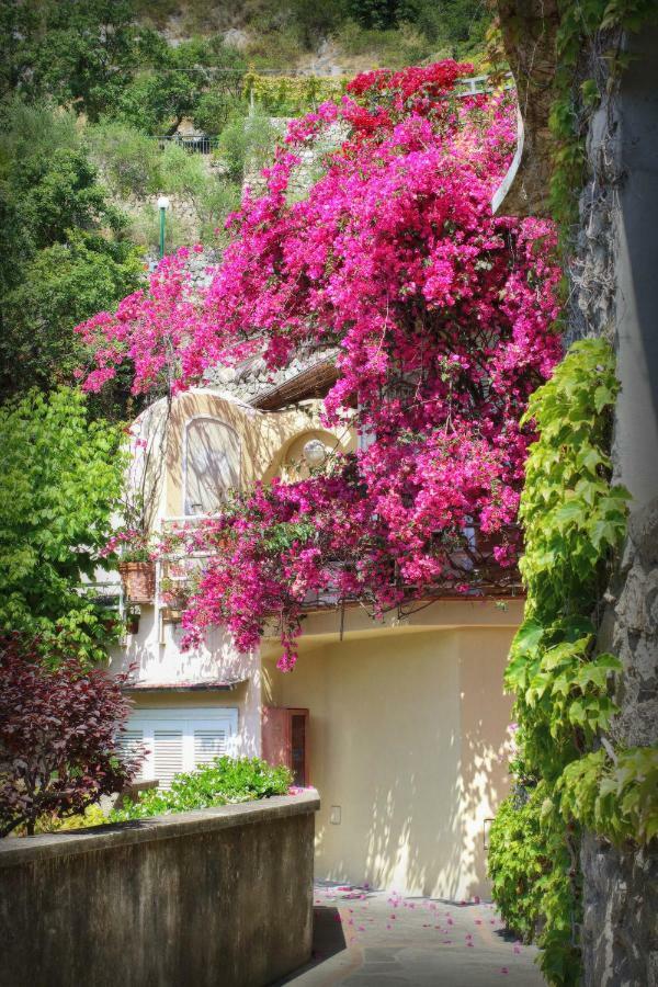 Venus Apartment Positano Kültér fotó